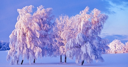 Степанов день.jpg