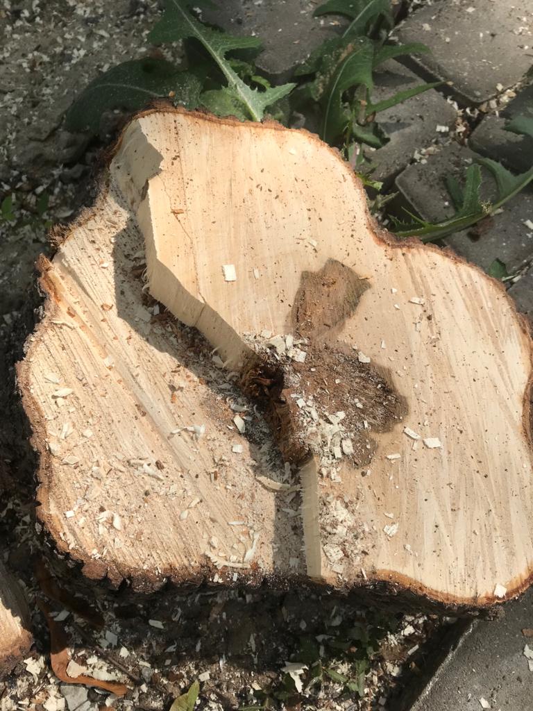 fdcd35e2-bfd0-4d8e-9c49-fa21aa192427.jpg fdcd35e2-bfd0-4d8e-9c49-fa21aa192427.jpg