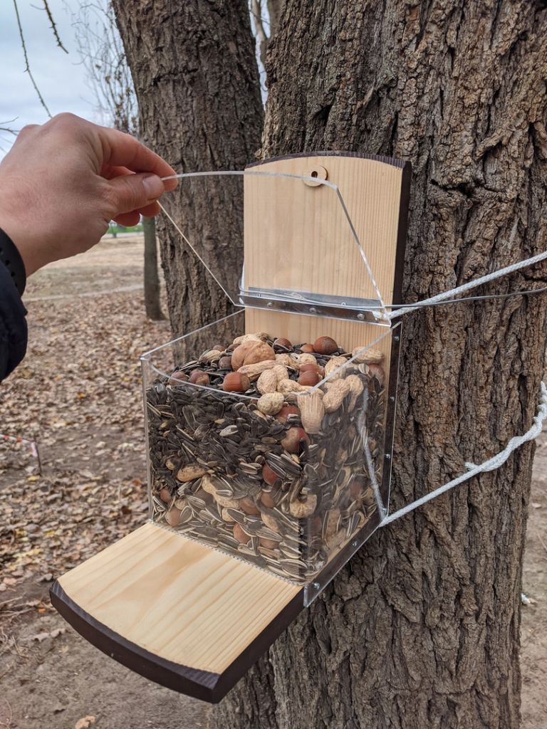 фто белка.jpg фто белка.jpg