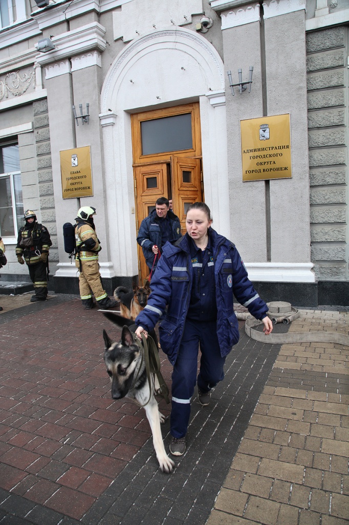 foto 4.jpg foto 4.jpg