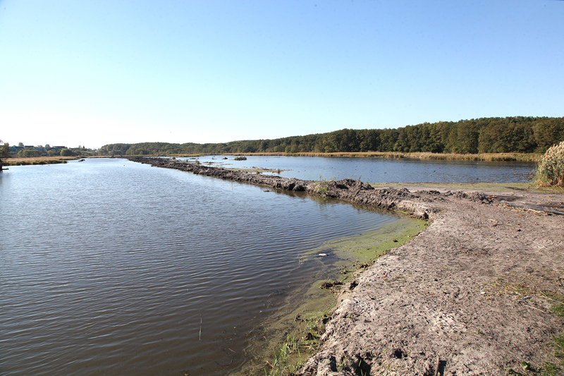 Пень 0005.jpg Пень 0005.jpg