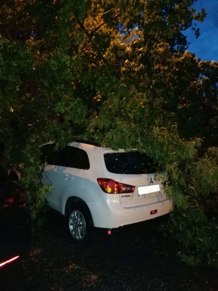 GcSU5xJjh8w.jpg GcSU5xJjh8w.jpg