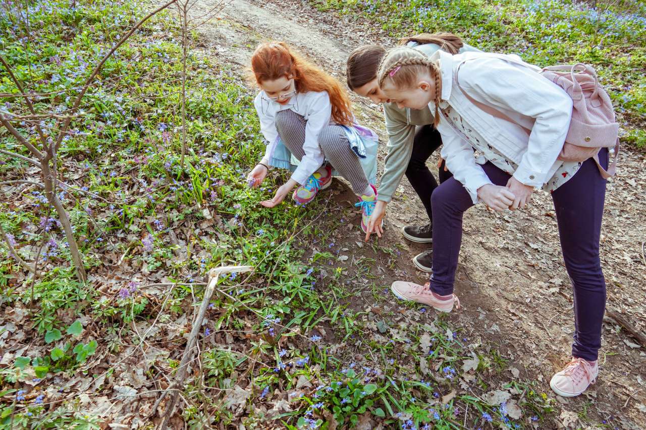 DSC09299.jpg DSC09299.jpg