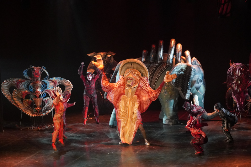 DSC03563.jpg DSC03563.jpg