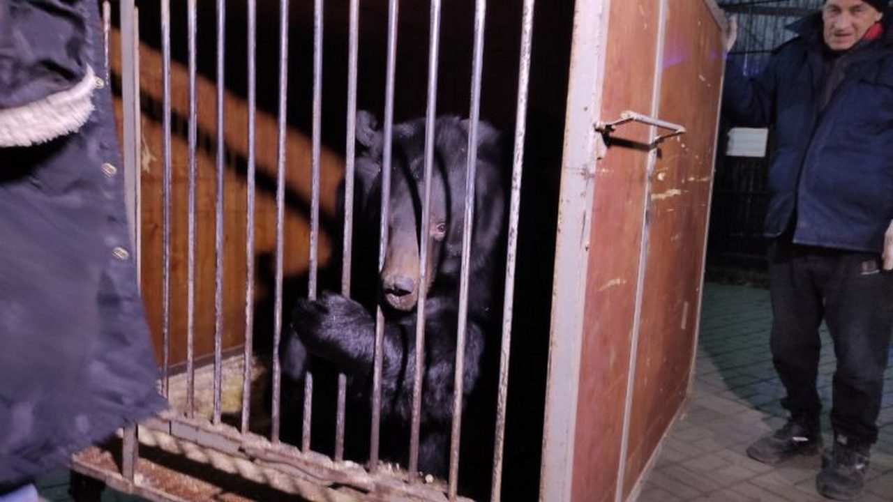 1764772170429-768x432.jpg 1764772170429-768x432.jpg