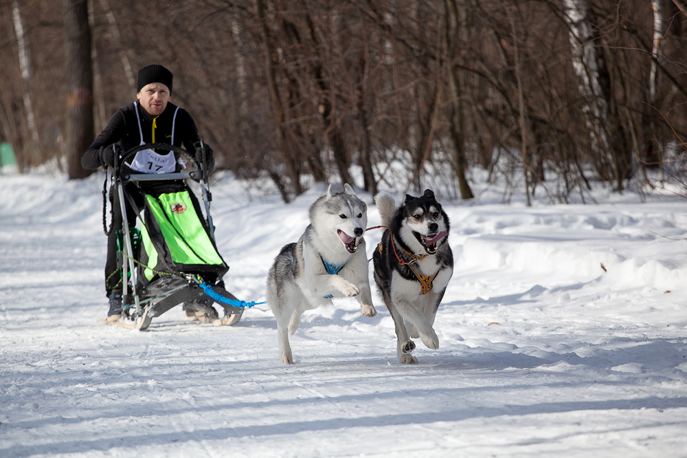 ФОТО 10.jpg ФОТО 10.jpg