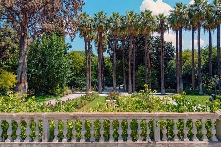 Обыкновенный сад.JPG