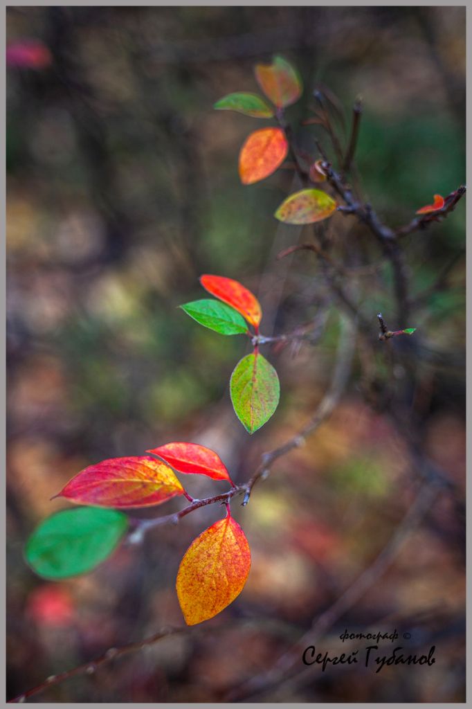 фото 004.jpg фото 004.jpg