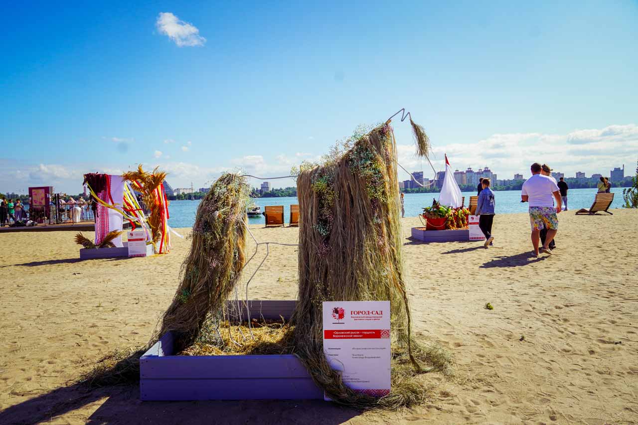 DSC09602.jpg DSC09602.jpg