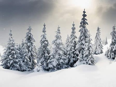 Ефимов день.jpg