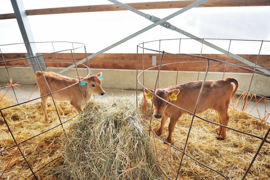 DSC_4327.jpg DSC_4327.jpg