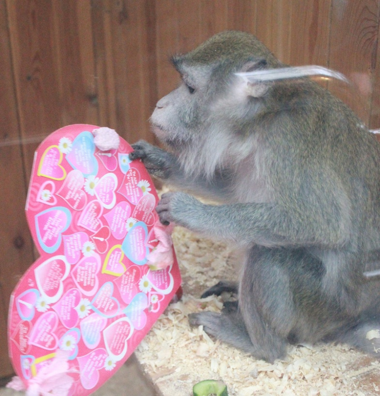 f364454b28b1de1ffdbd501b873c489f.jpg f364454b28b1de1ffdbd501b873c489f.jpg