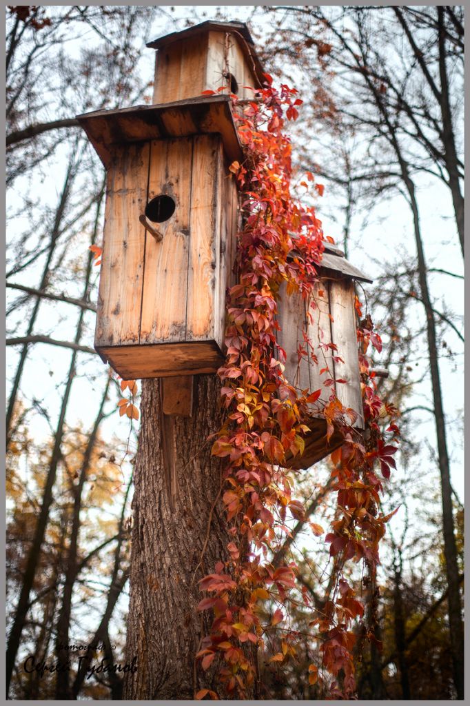 фото 003.jpg фото 003.jpg