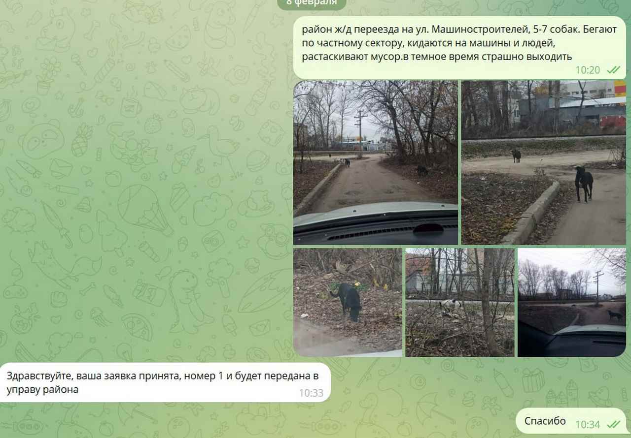 sobaki.jpg sobaki.jpg