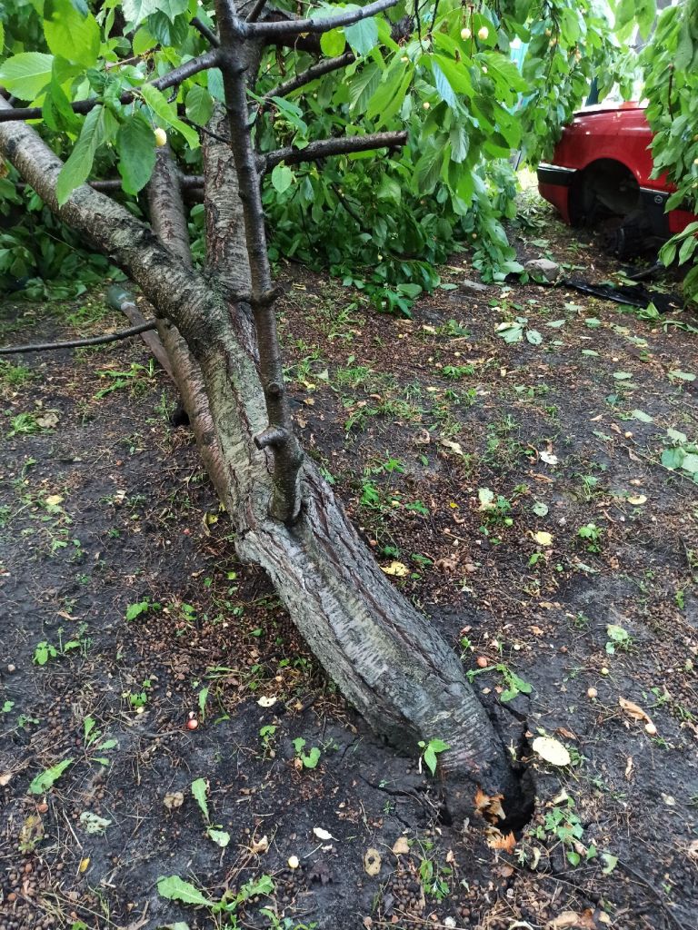 1655140704869.jpg 1655140704869.jpg