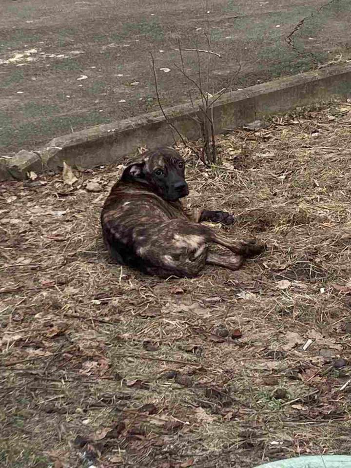 photo_2024-02-10_18-15-07.jpg photo_2024-02-10_18-15-07.jpg