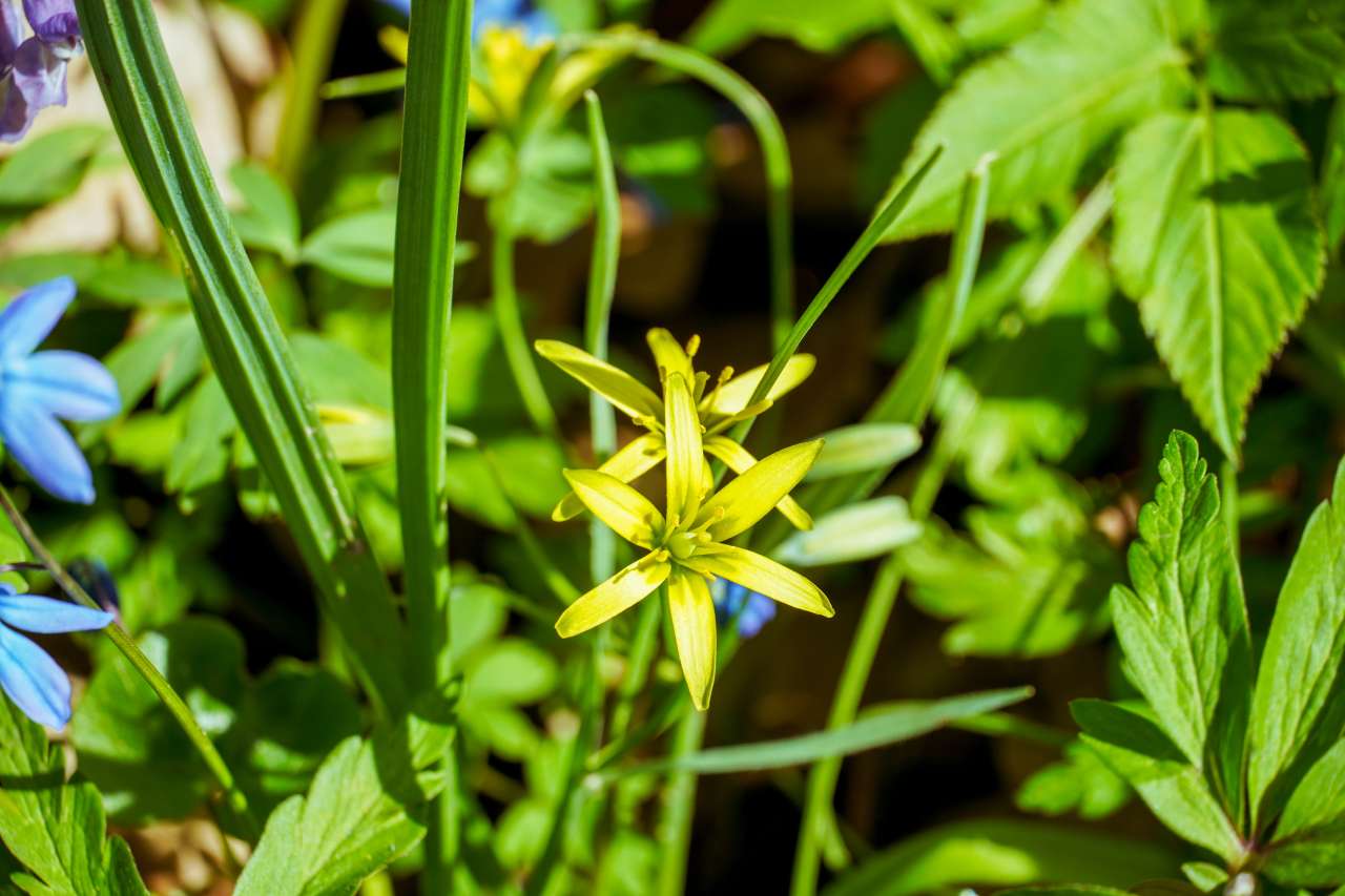 DSC09078.jpg DSC09078.jpg