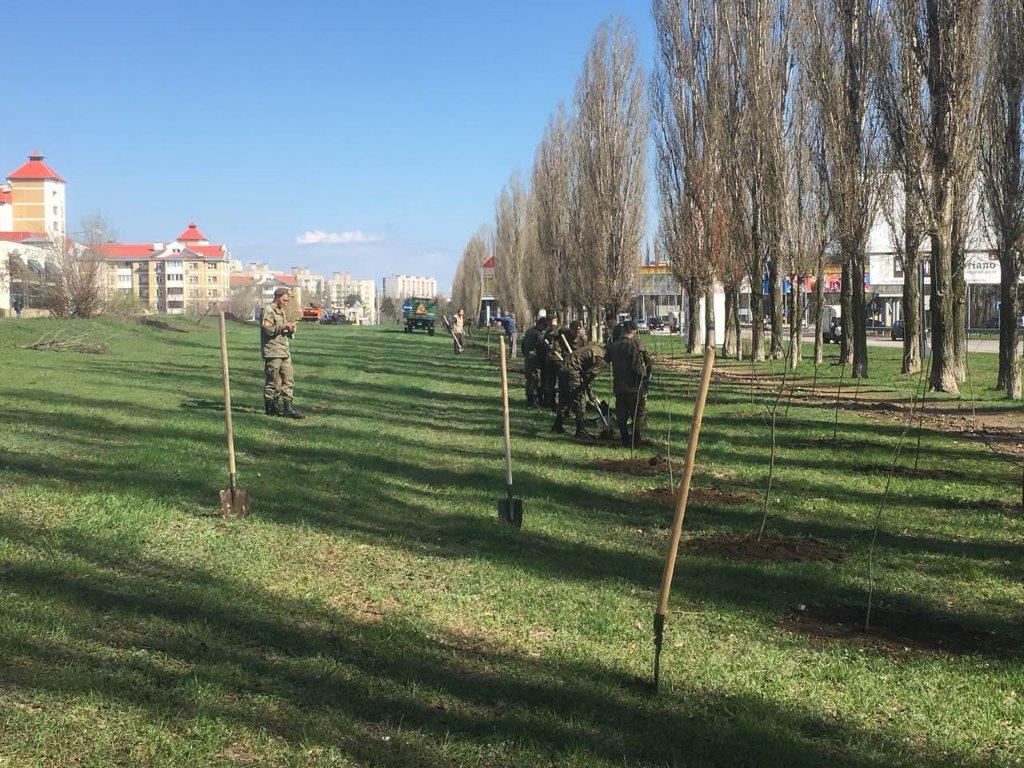Посадка саженцев Военный городок.jpg