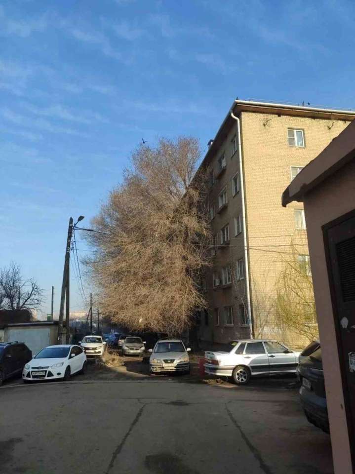 бум1.jpg бум1.jpg