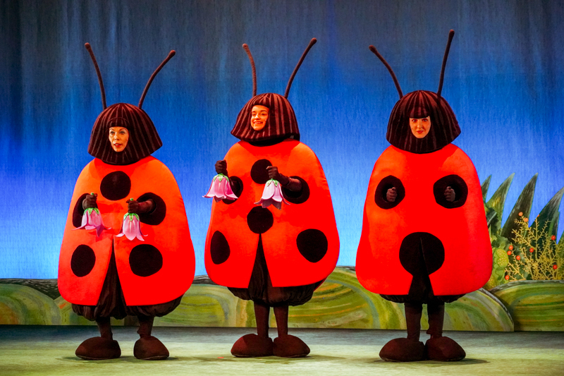 DSC02748.jpg DSC02748.jpg