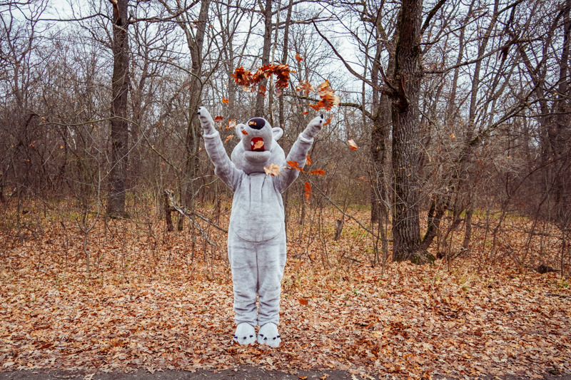 волк 6.jpg волк 6.jpg