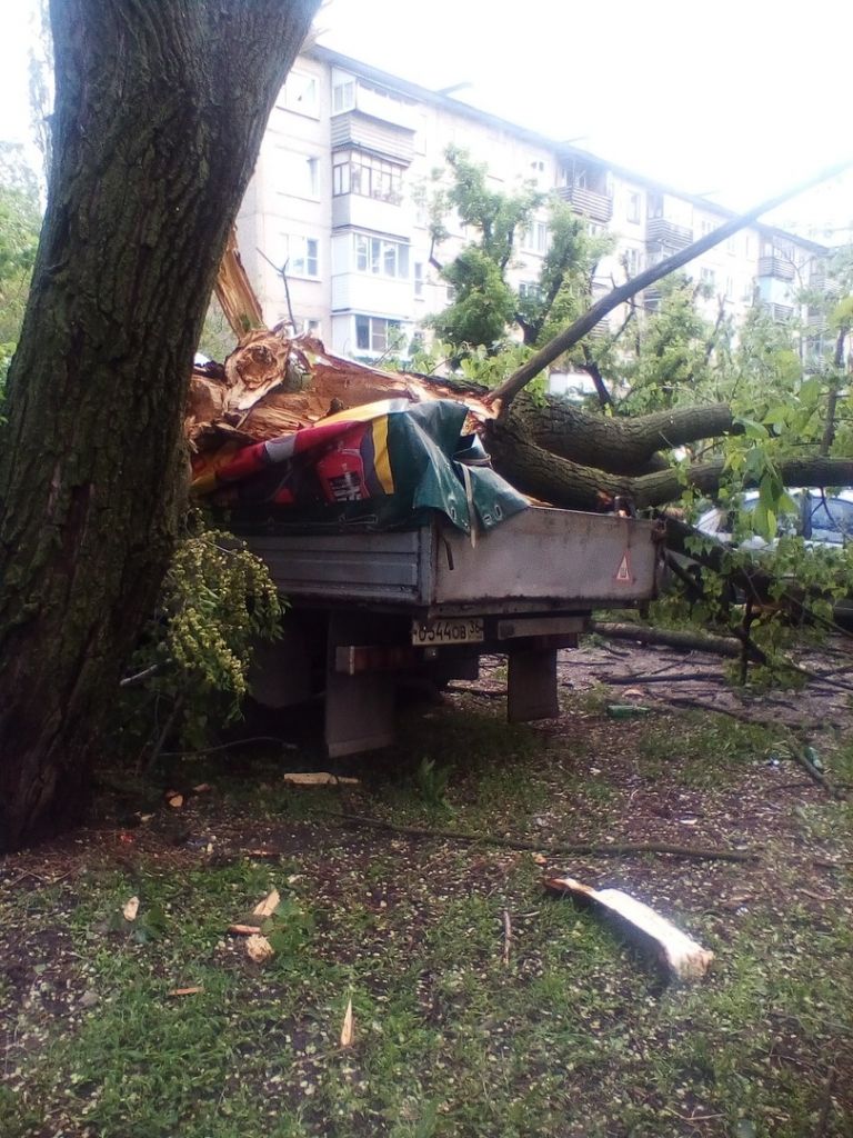 JgIoZkciWmI.jpg JgIoZkciWmI.jpg