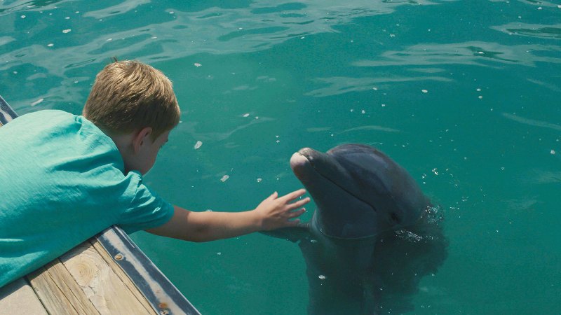 128863-3.jpg 128863-3.jpg