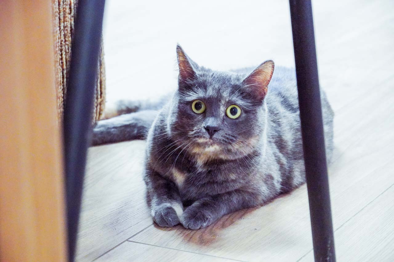 DSC07278.jpg DSC07278.jpg