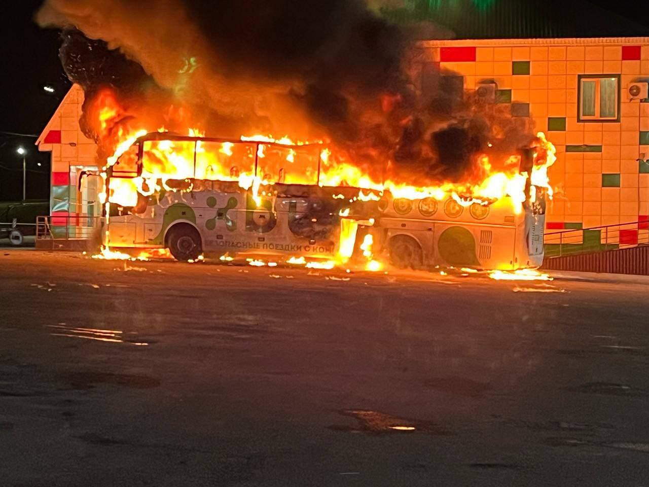 photo_2025-04-11_16-25-43.jpg photo_2025-04-11_16-25-43.jpg