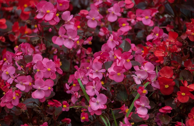 ¦бTВ¦-¦-¦¬TВTМ 9 TД¦-TВ¦-.jpg