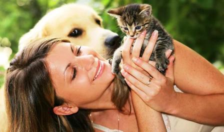 Обыкновенная вежливость.JPG