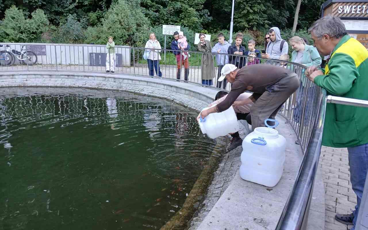 кар.jpg кар.jpg