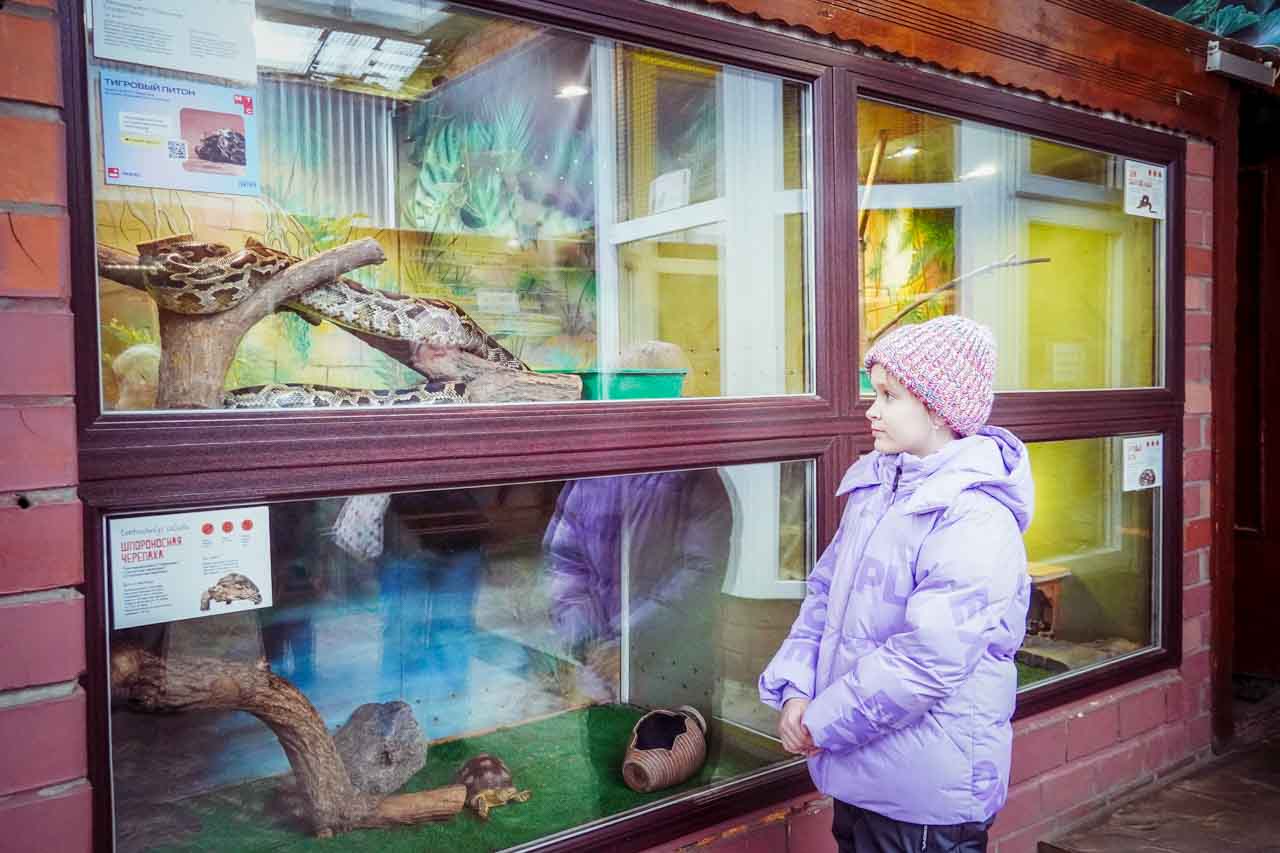 20241227-DSC07913.jpg 20241227-DSC07913.jpg