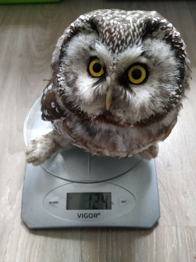 MEUAD2d7ZeAjfLyfsGJg0zkyM9oNMbIBYJKBO7dr5pjfUHVtQXRyWG4PMyz85ZkzIYDeDTJG60u5f3BTxG6jKTfm.jpg MEUAD2d7ZeAjfLyfsGJg0zkyM9oNMbIBYJKBO7dr5pjfUHVtQXRyWG4PMyz85ZkzIYDeDTJG60u5f3BTxG6jKTfm.jpg