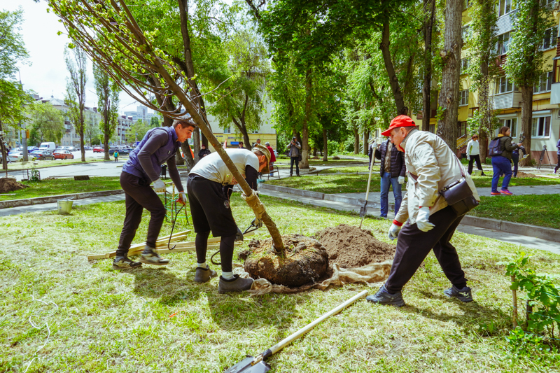 DSC01919.jpg DSC01919.jpg