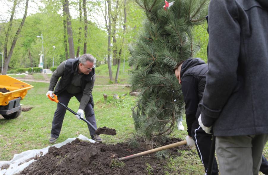 суб1.jpg суб1.jpg