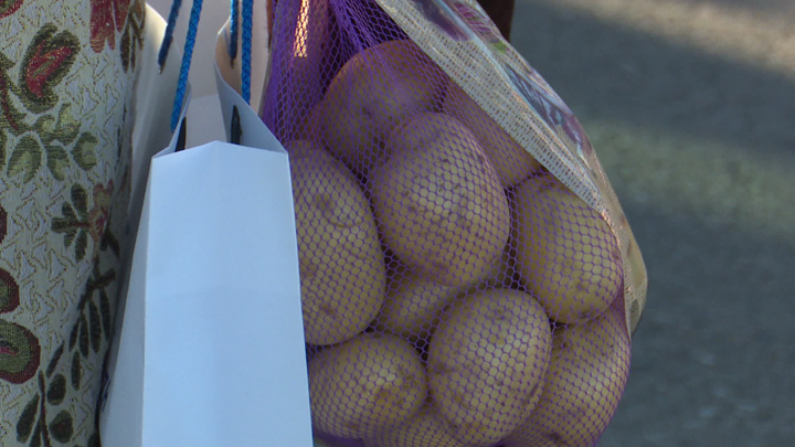 4972-23112018.jpg 4972-23112018.jpg