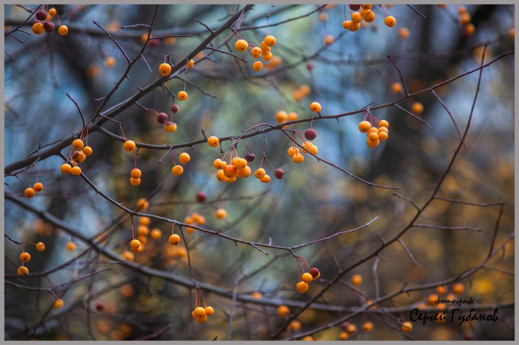 фото 003а.jpg фото 003а.jpg