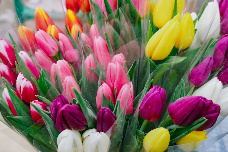 DSC00961.jpg DSC00961.jpg