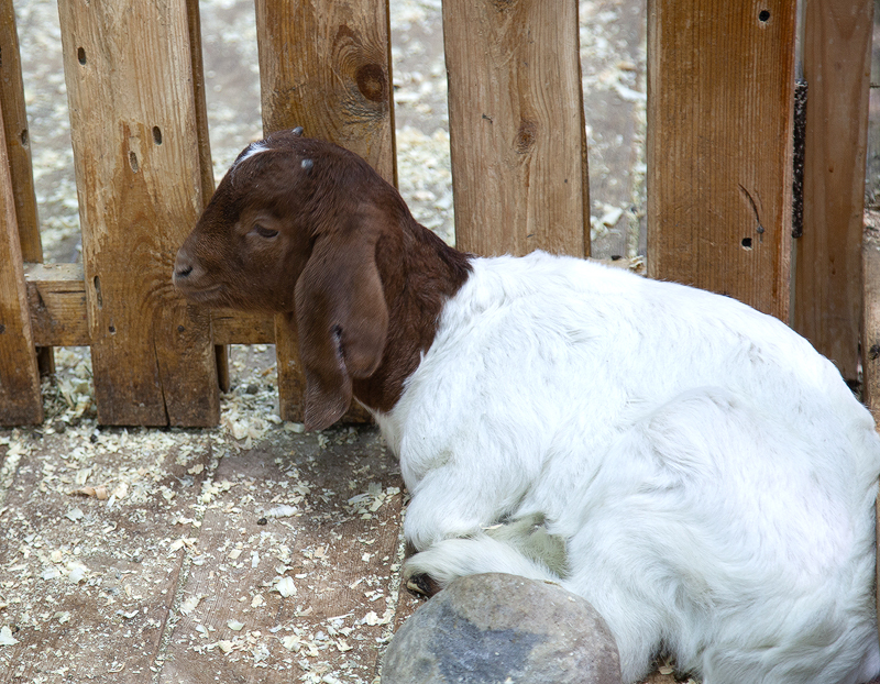 2version.jpg 2version.jpg