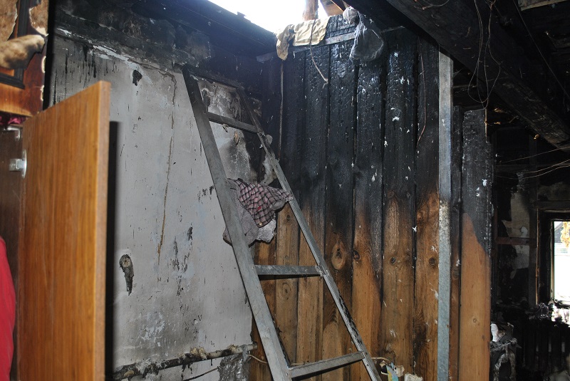 к собакам 1.JPG