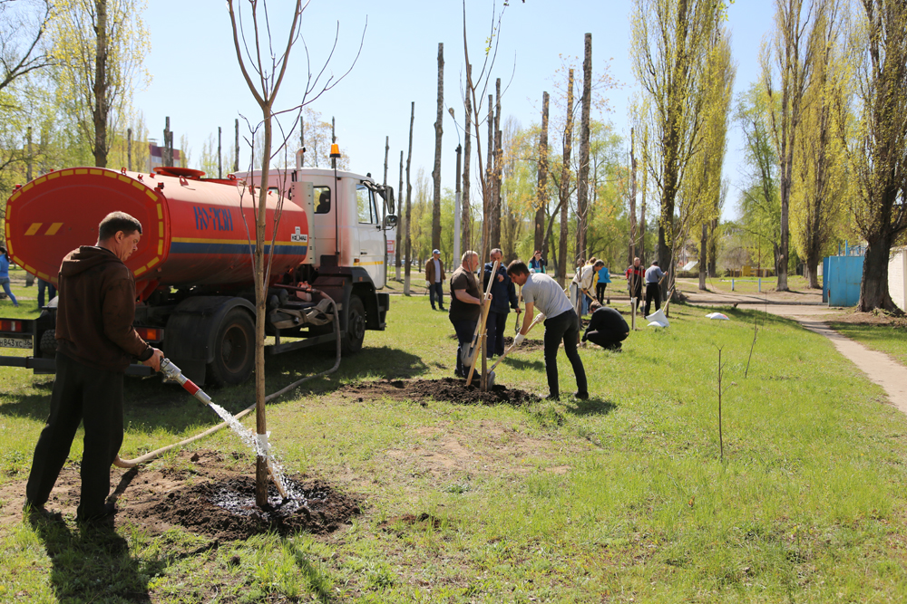Мэр субботник 2.jpg