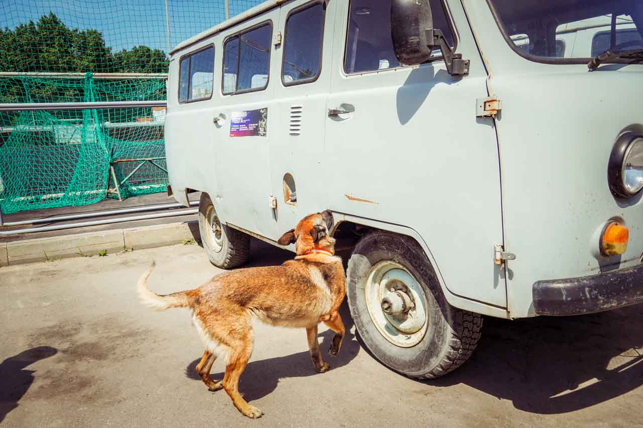 DSC01552.jpg DSC01552.jpg