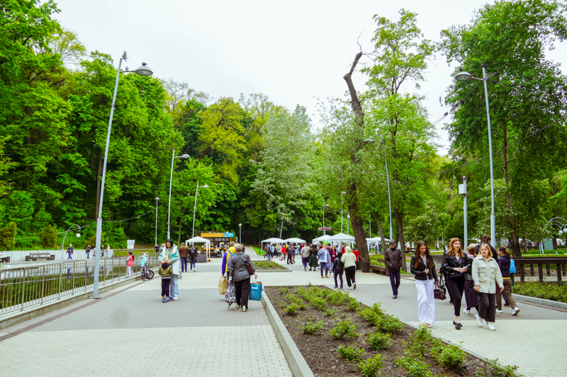 DSC00244.jpg DSC00244.jpg