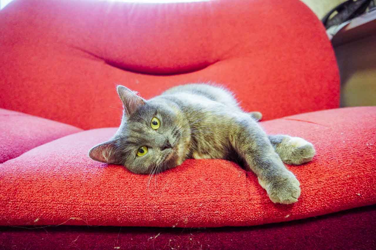 DSC07213.jpg DSC07213.jpg