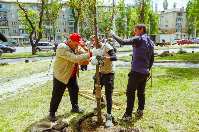 DSC01924.jpg DSC01924.jpg