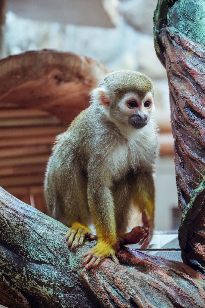 обяз как главная.jpg