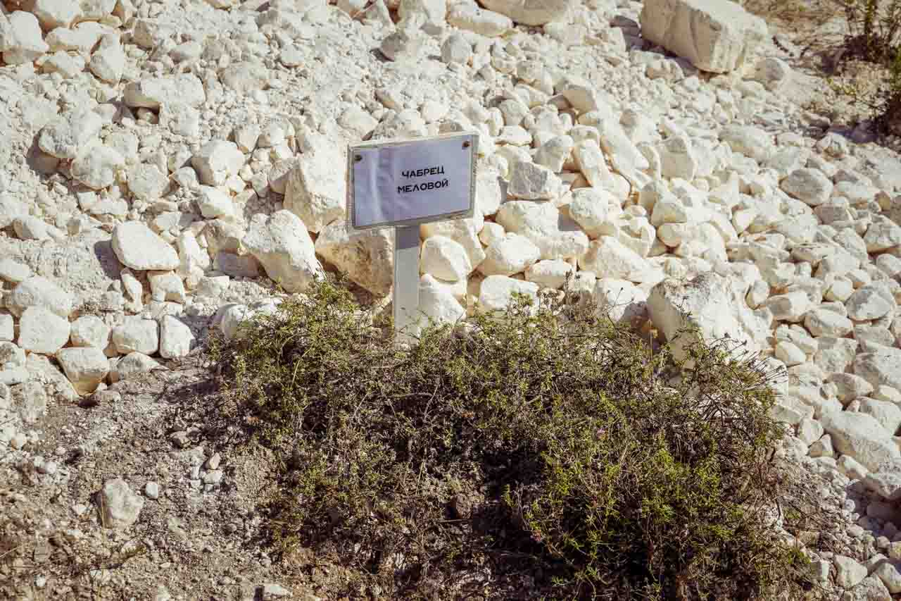 DSC09779 (1).jpg DSC09779 (1).jpg