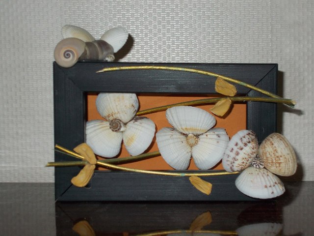 ракушки 2.jpg