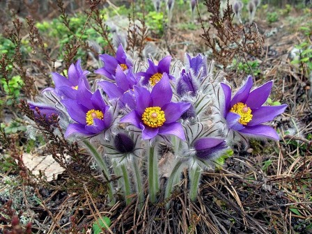 Дорофеев день.jpg